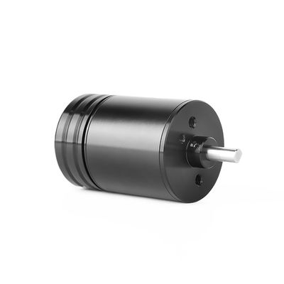 7 motor sin cepillo subacuático de Outrunner 234g DC de los pares de poste proveedor